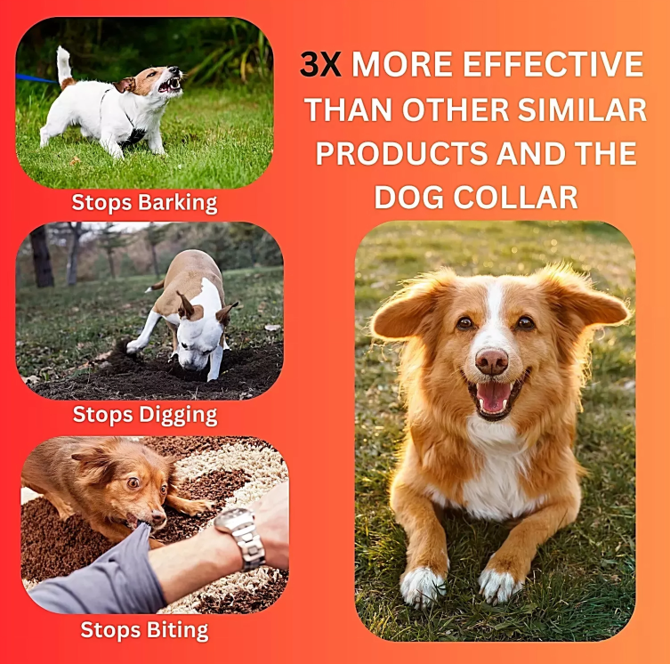 Ultrasonic Silence Barking Device