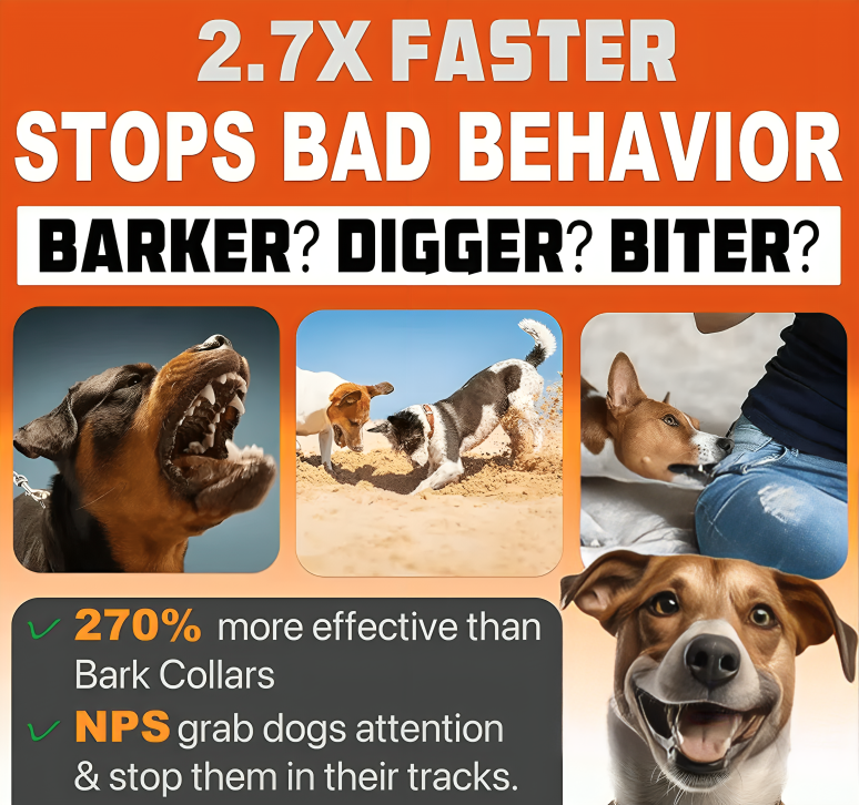 Ultrasonic Silence Barking Device