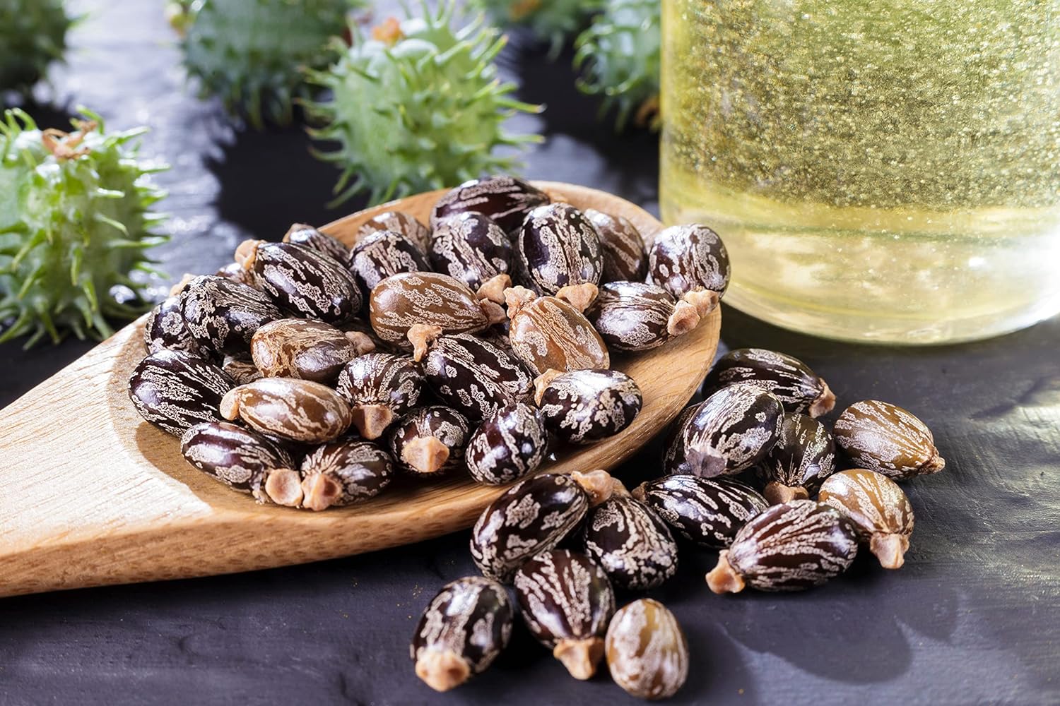 Castor Oil