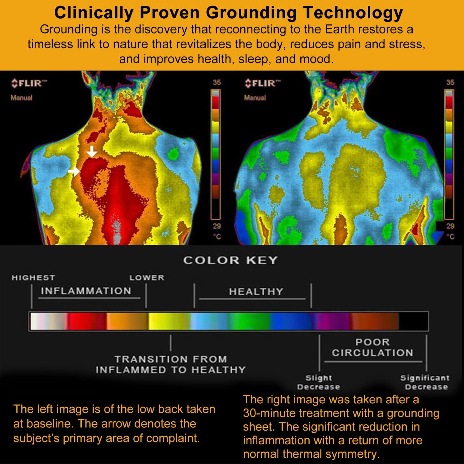 Earth Connect Sheets